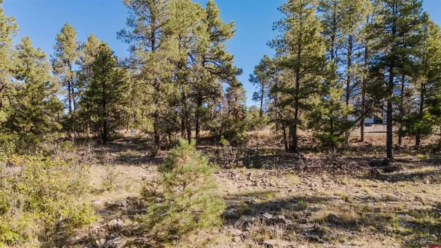 $55,000 | 79 East Golf Place, Pagosa Springs, CO 81147