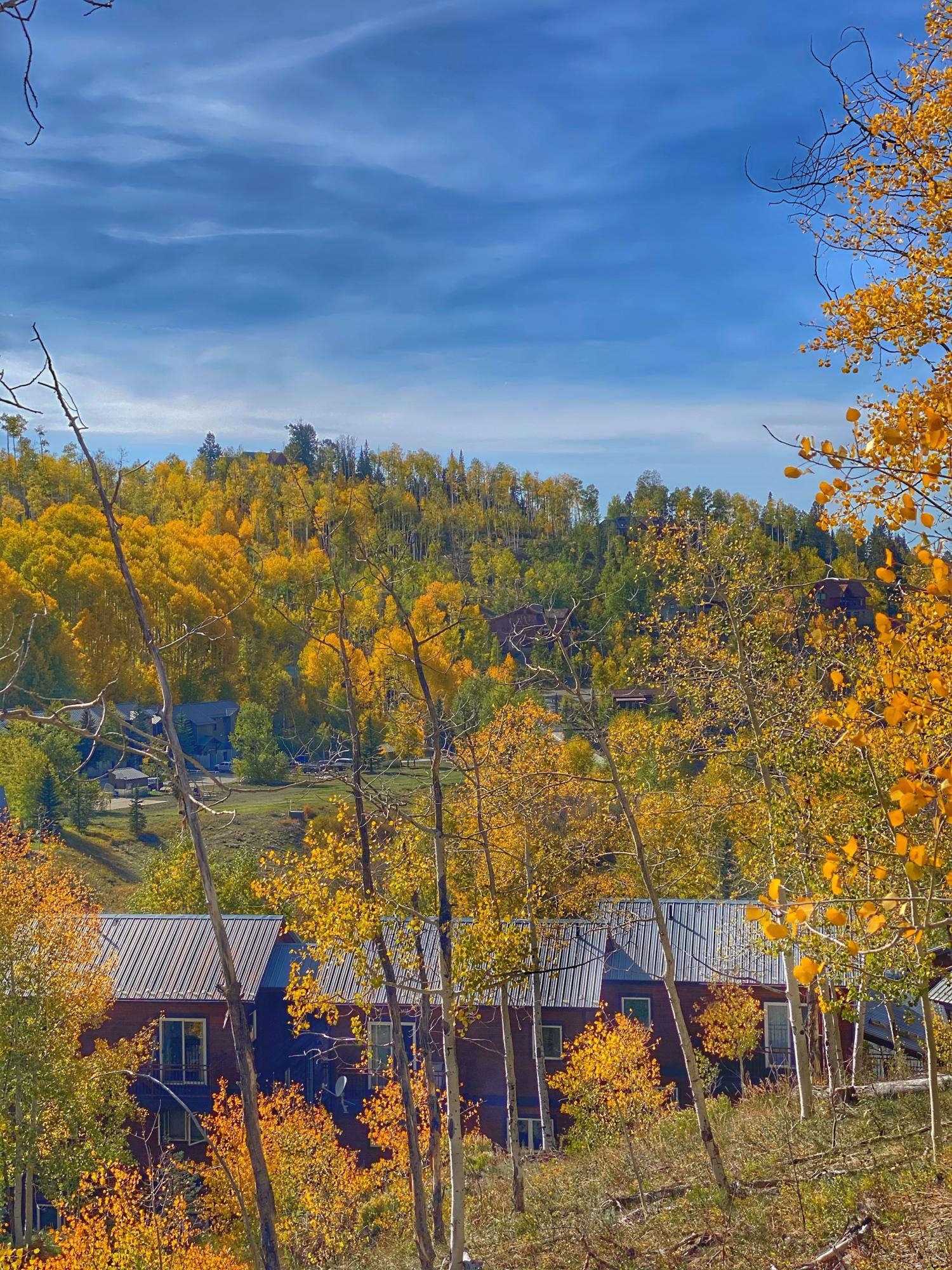 323 Adams Ranch Road, Unit 3A Mountain Village, CO 81435 - Photo 29 of 31 Outlaws Condos