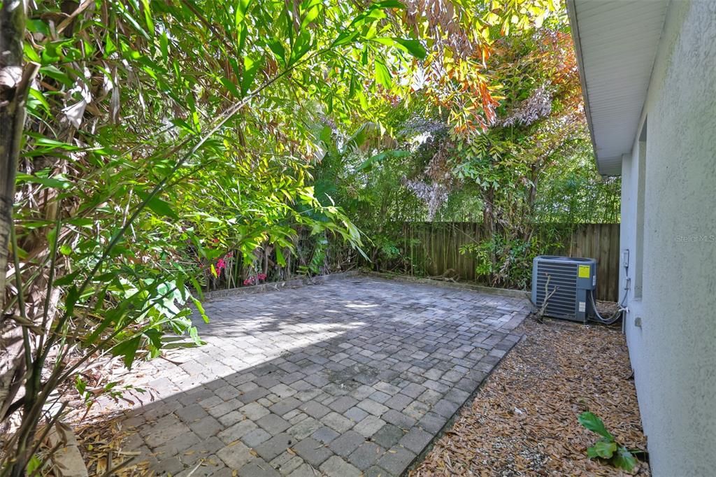 2331 West Chestnut Street Tampa, FL 33607 - Photo 29 of 34 a view of a backyard with large trees and wooden fence