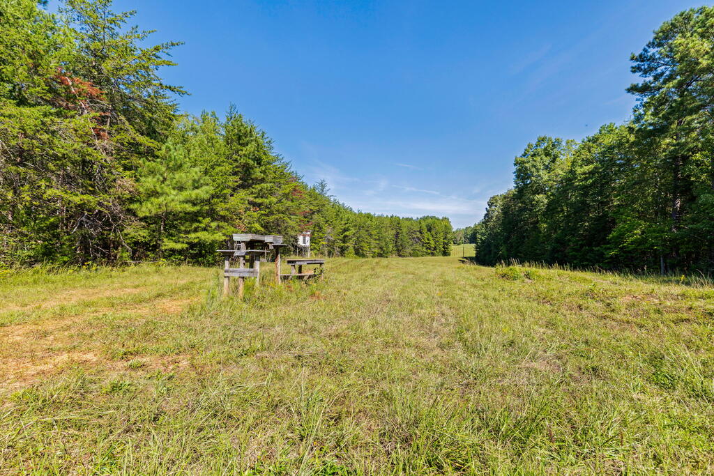 Lees Mill Road, Unit 3 Chase City, VA 23924 - Photo 27 of 64 Gallery Image 27
