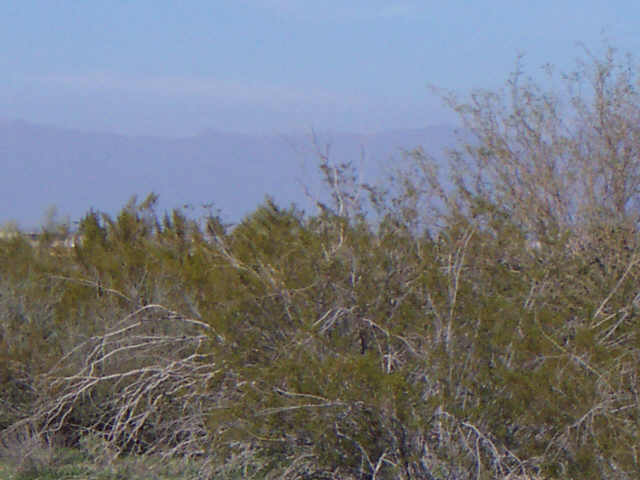 0 West Phillips Road, Unit E San Tan Valley, AZ 85144 - Photo 5 of 6 Additional Photo