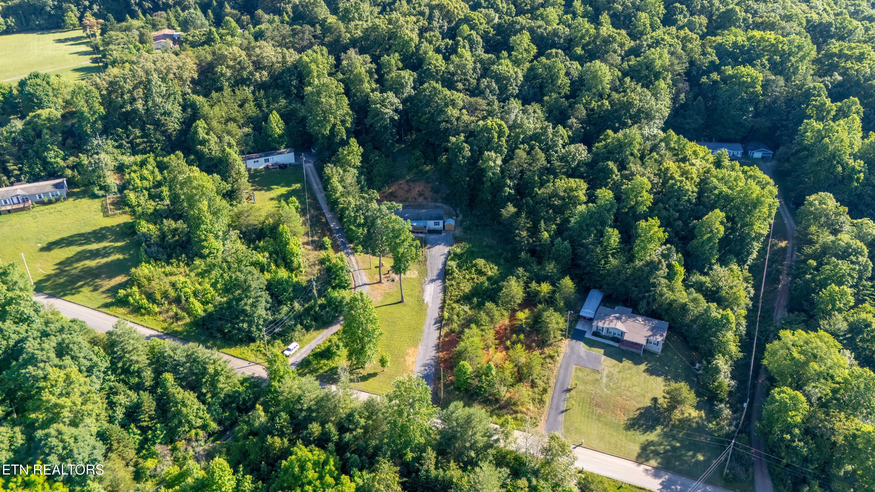 1591 Trig Long Road Dandridge, TN 37725 - Photo 5 of 35 DJI_20260603181503_0587_D-HDR-Edit