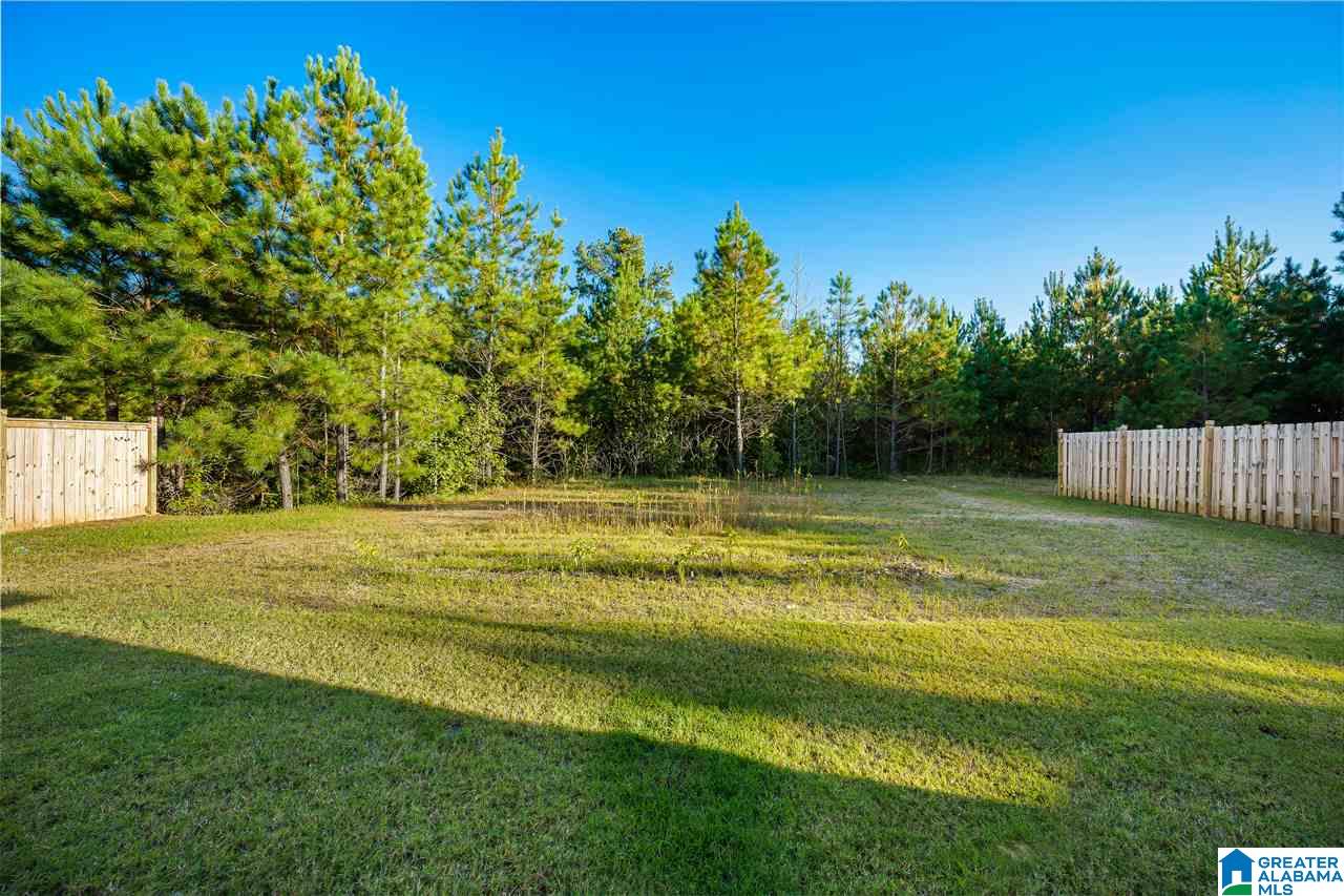 415 Sterling Place Odenville, AL 35120 - Photo 22 of 24