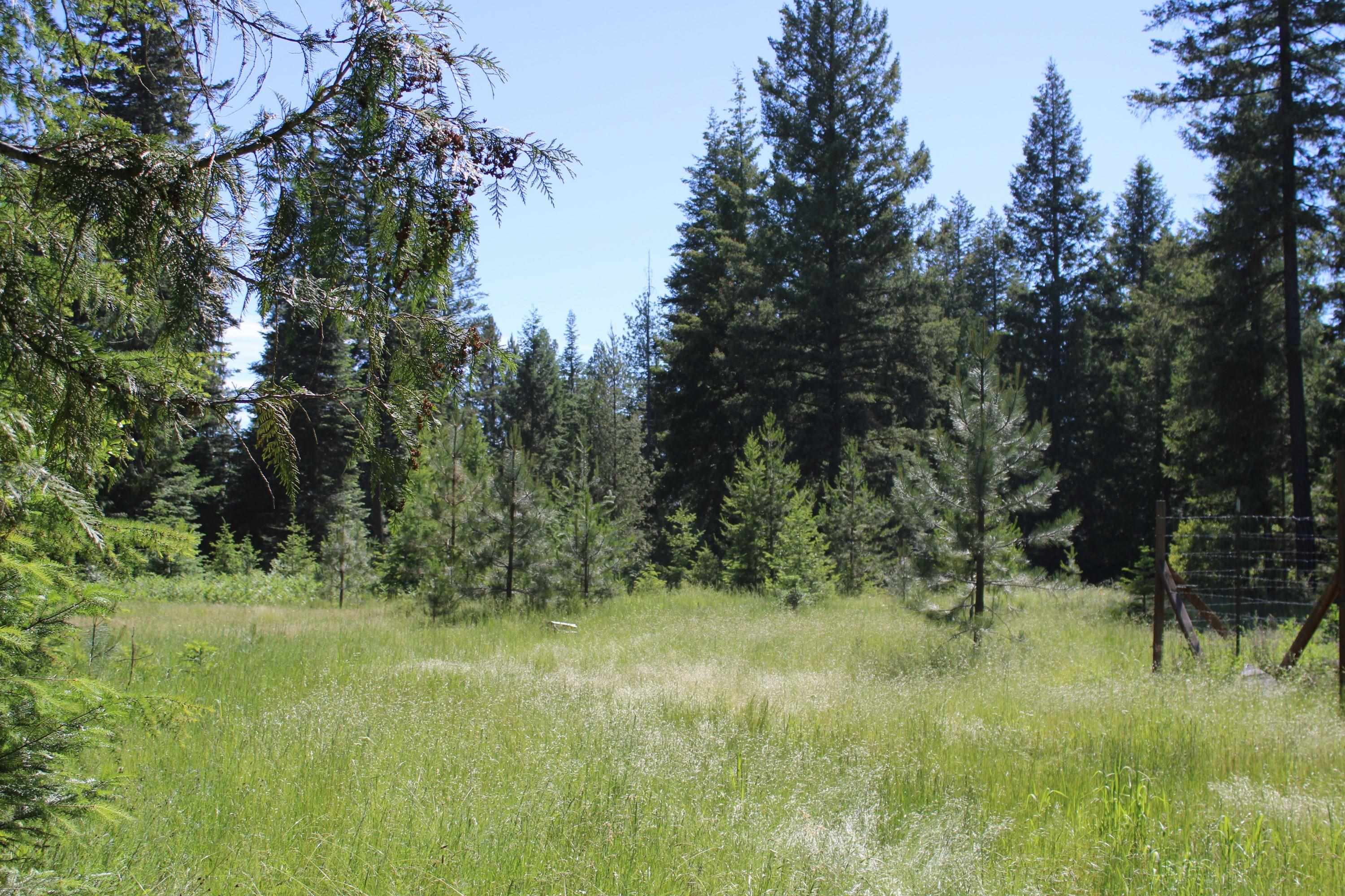 468 Ranch Road Deer Park, WA 99006 - Photo 5 of 8