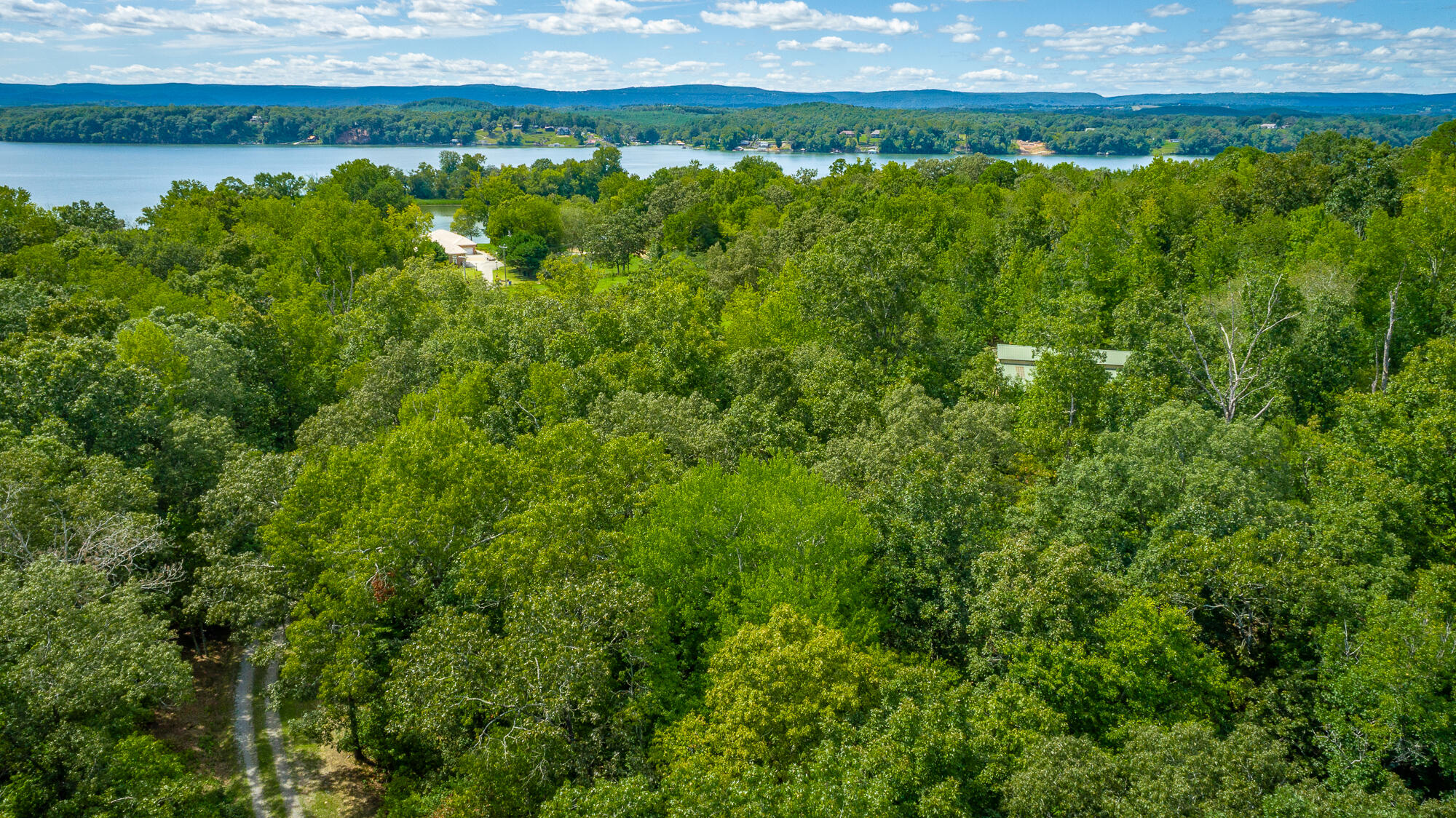 4429 Johnson Road Birchwood, TN 37308 - Photo 101 of 131 4429 Johnson Road HD-113