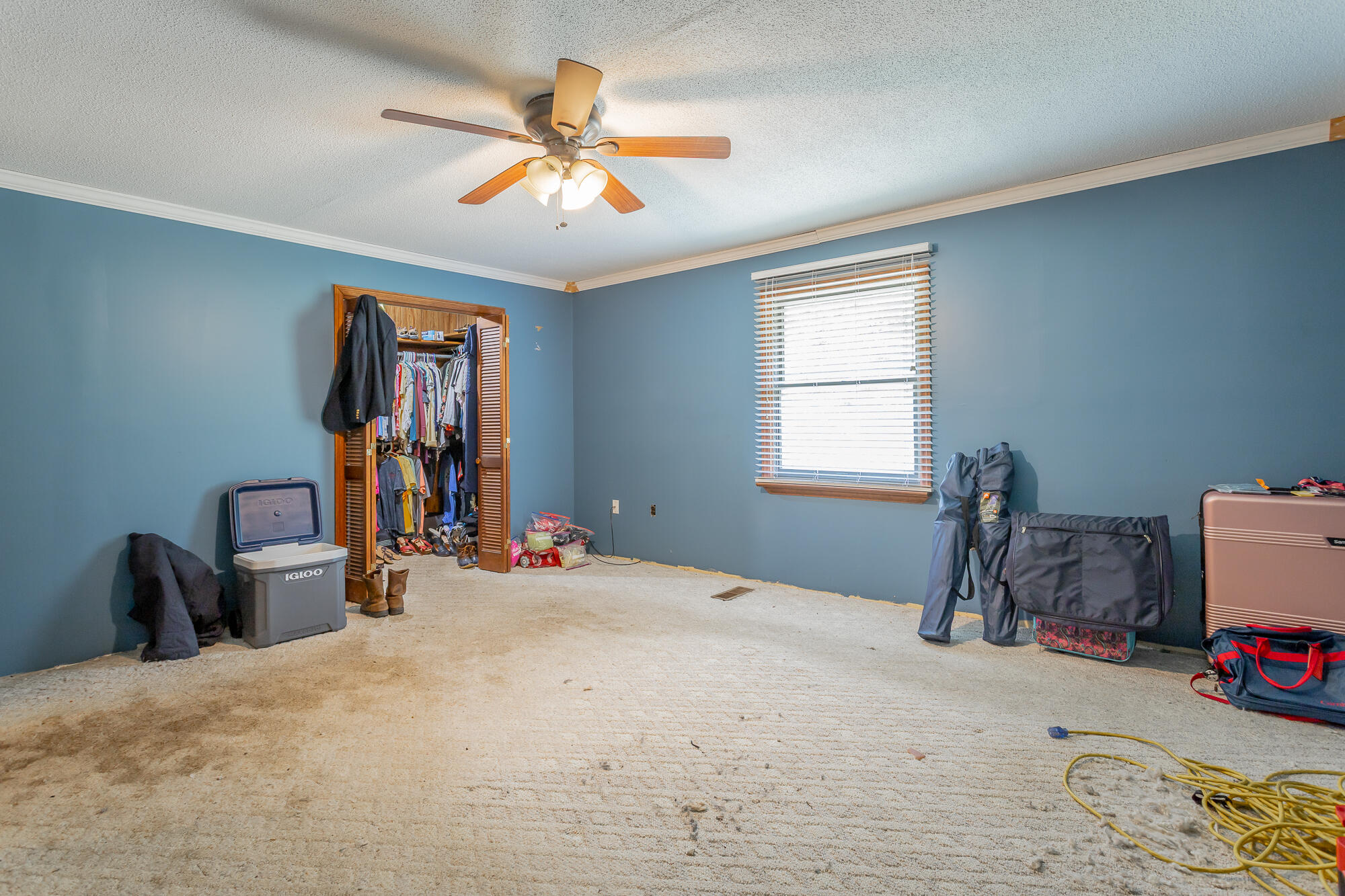 4429 Johnson Road Birchwood, TN 37308 - Photo 42 of 131 4429 Johnson Road HD-33