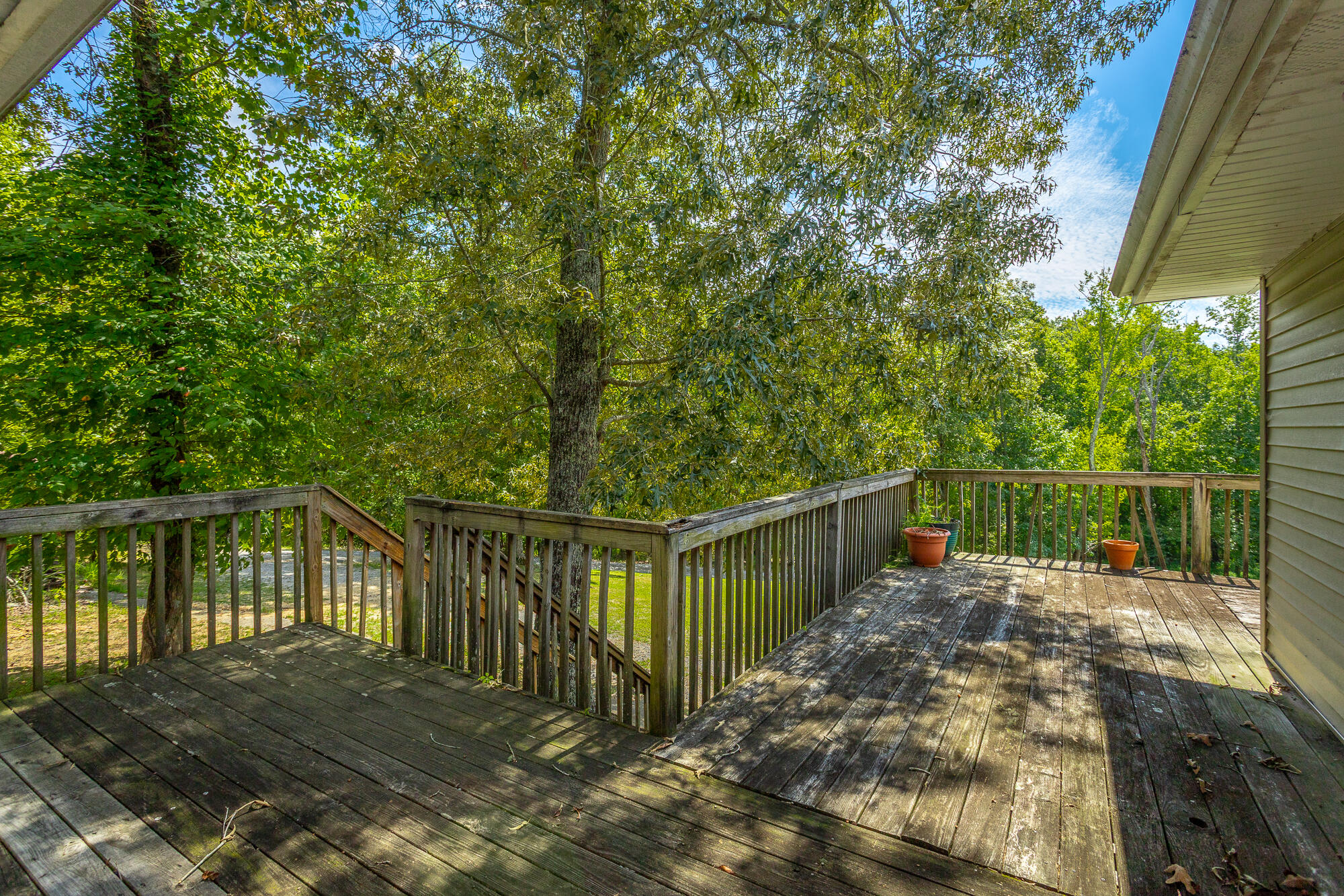 4429 Johnson Road Birchwood, TN 37308 - Photo 53 of 131 4429 Johnson Road HD-44