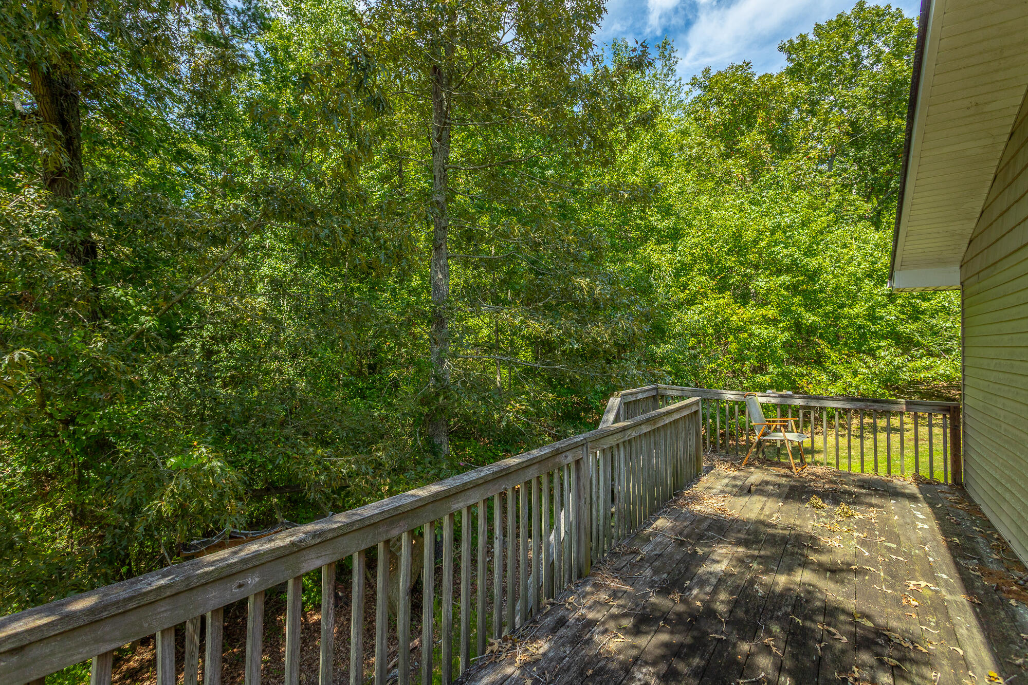 4429 Johnson Road Birchwood, TN 37308 - Photo 60 of 131 4429 Johnson Road HD-51