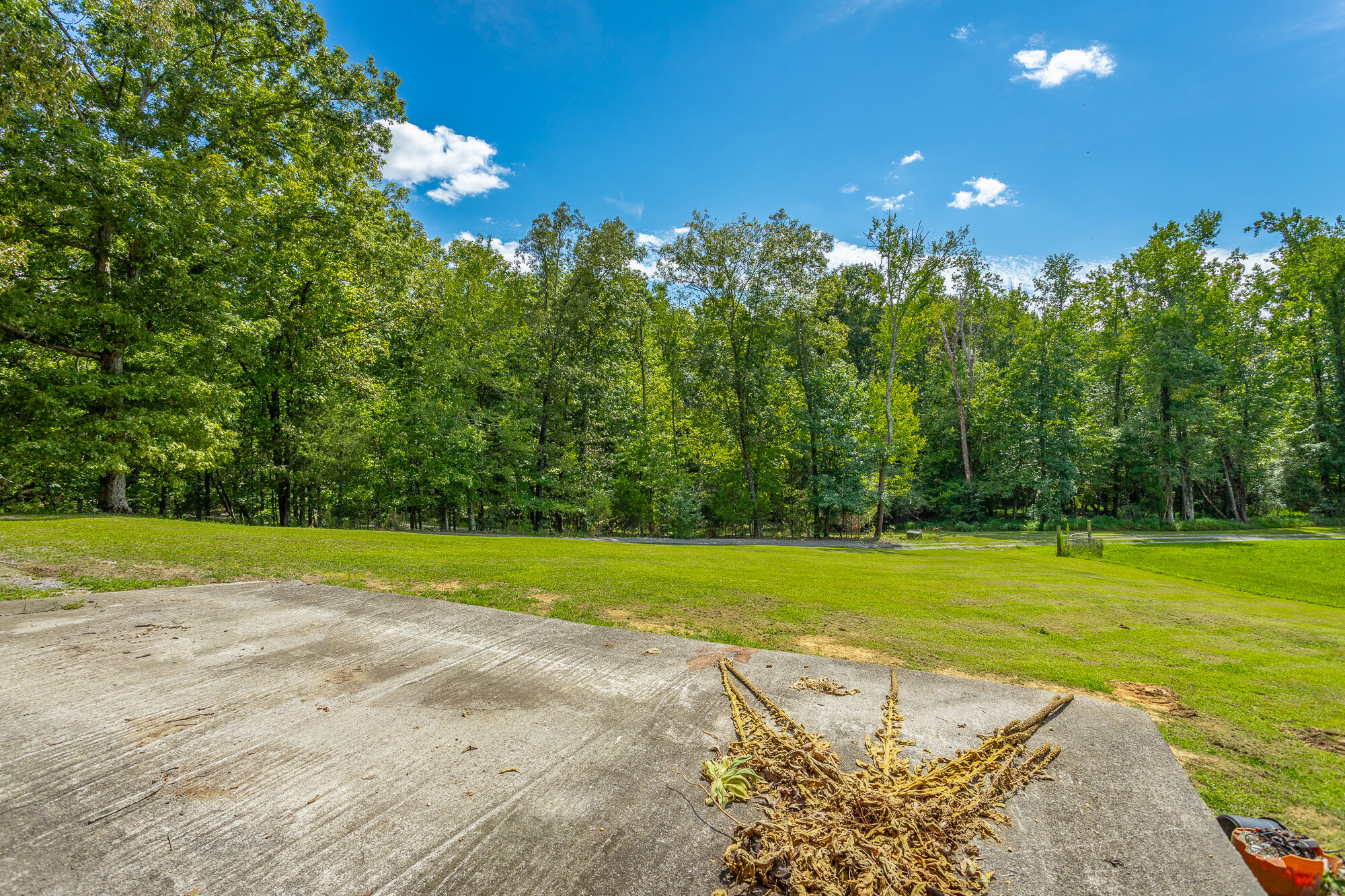 4429 Johnson Road Birchwood, TN 37308 - Photo 71 of 131 4429 Johnson Road HD-78