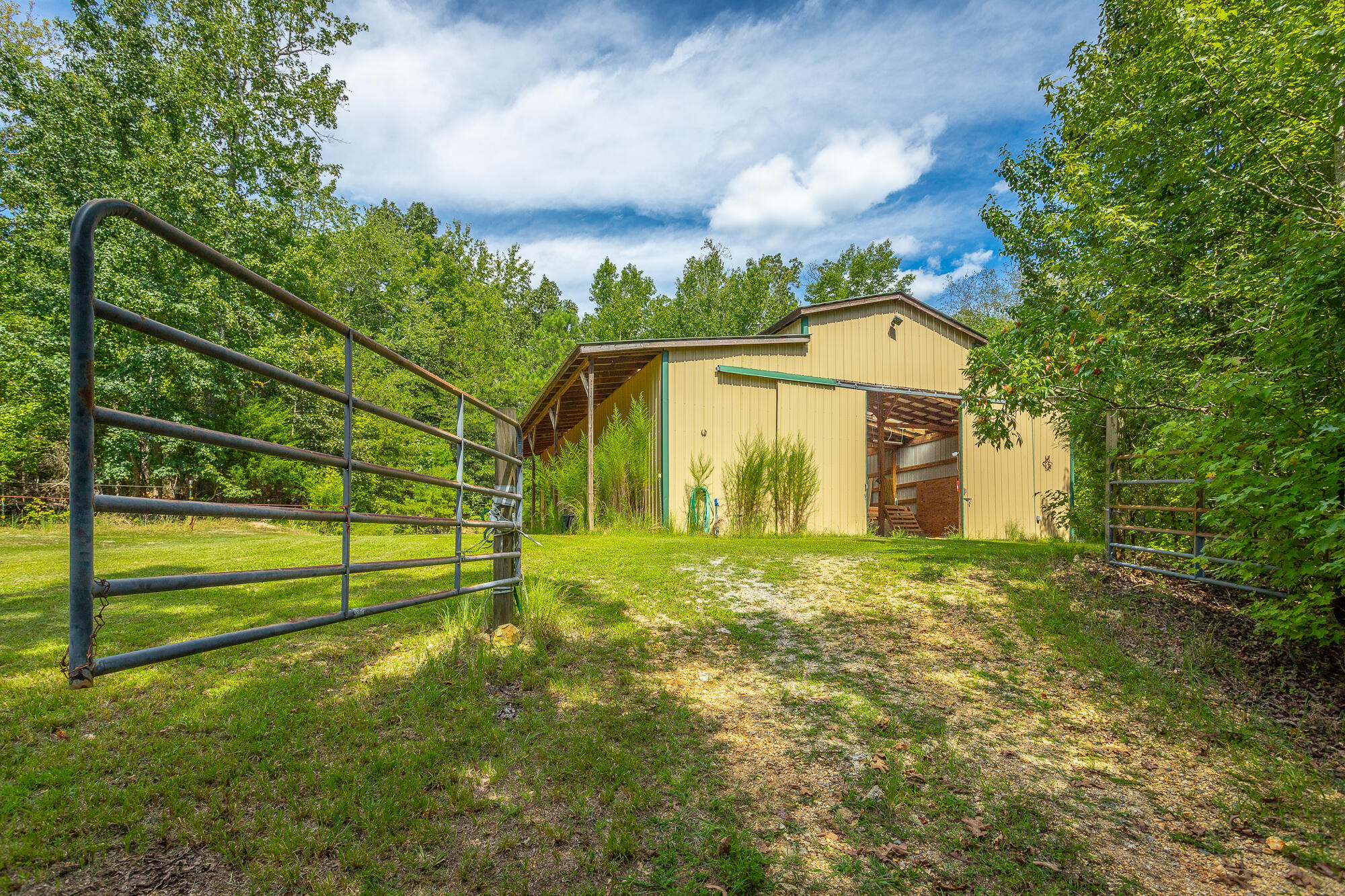 4429 Johnson Road Birchwood, TN 37308 - Photo 80 of 131 4429 Johnson Road HD-87