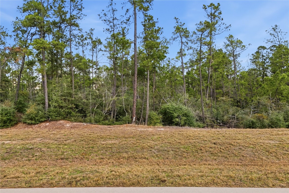 15466 Red Hawk Road Willis, TX 77378 - Photo 1 of 18 a view of outdoor space and yard