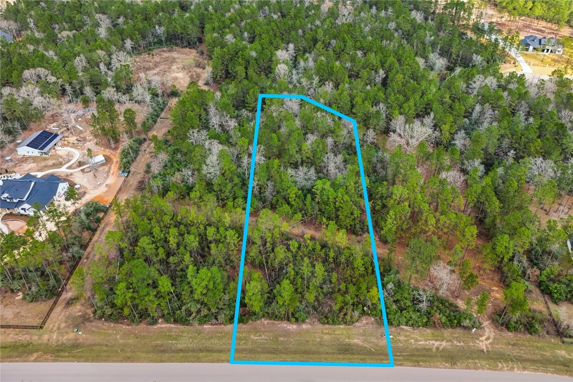 15466 Red Hawk Road Willis, TX 77378 - Photo 2 of 18 a view of a yard