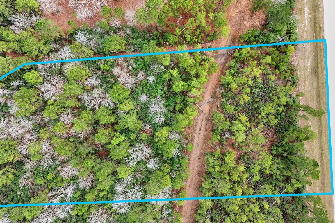 15466 Red Hawk Road Willis, TX 77378 - Photo 4 of 18 a close up of a green space