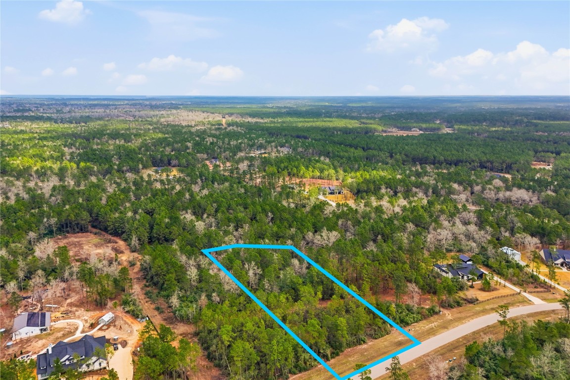 15466 Red Hawk Road Willis, TX 77378 - Photo 5 of 18