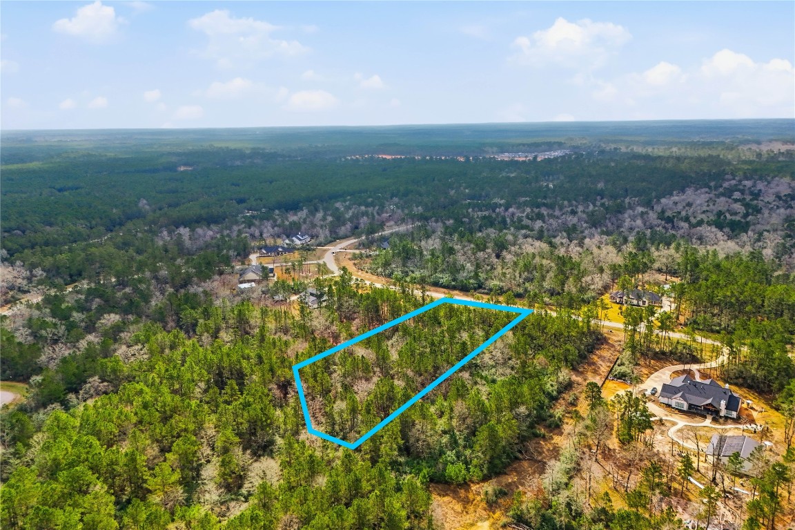 15466 Red Hawk Road Willis, TX 77378 - Photo 6 of 18 a view of a city