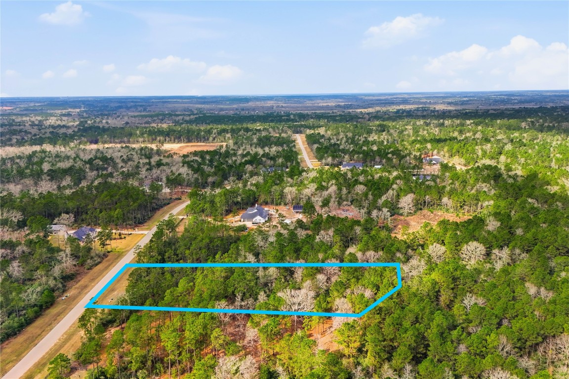 15466 Red Hawk Road Willis, TX 77378 - Photo 8 of 18