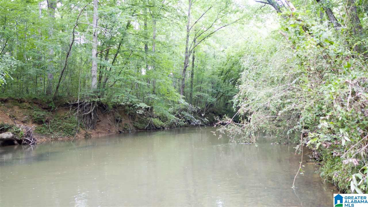 180 Gibson Road, Unit 76 / ACRES OFF GIBSON R Columbiana, AL 35051 - Photo 24 of 50
