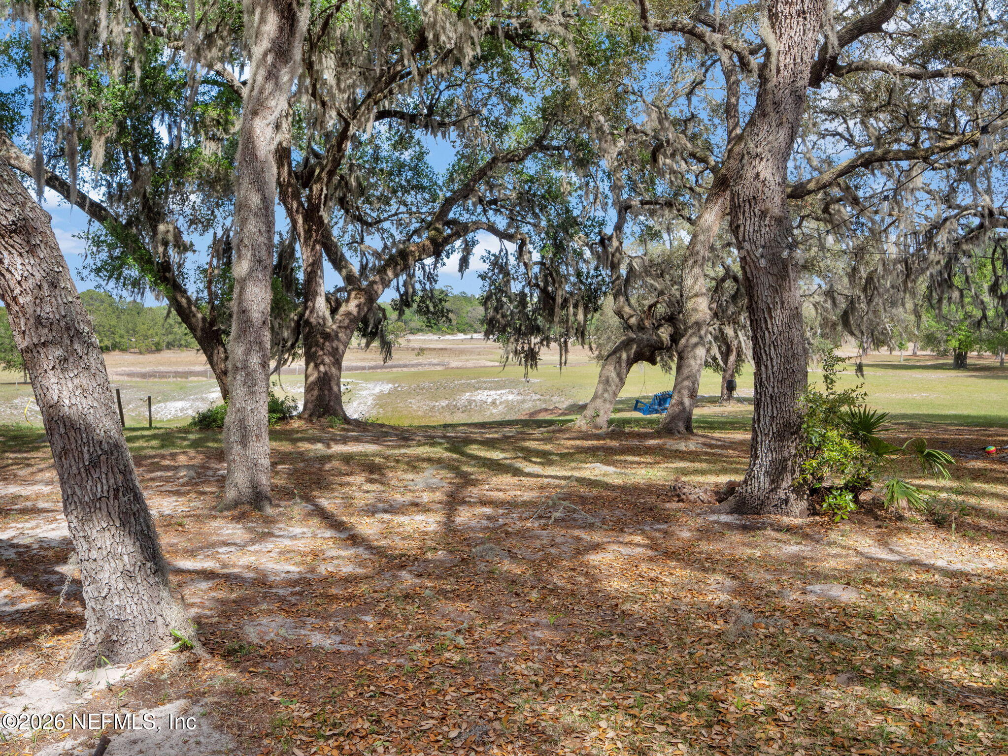 6745 Damascus Road Keystone Heights, FL 32656 - Photo 19 of 21 Backyard