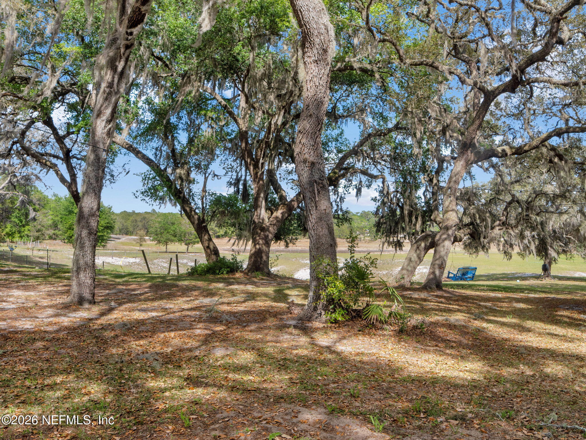 6745 Damascus Road Keystone Heights, FL 32656 - Photo 20 of 21 Backyard #2