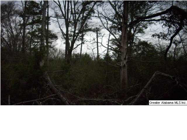 Peaceful Valley Road, Unit 38 5 Eastaboga, AL 36260 - Photo 9 of 11