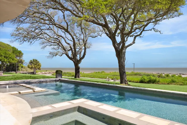 a view of a swimming pool with a yard and plants