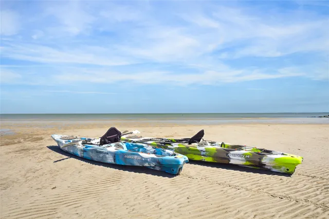 a view of a garden with a tree