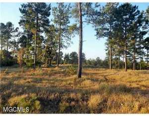 Tbv Tbv Hafner Road Lucedale, MS 39452 - Photo 1 of 3 20160727192743487321000000