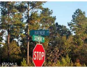 Tbv Tbv Hafner Road Lucedale, MS 39452 - Photo 2 of 3 20160727192743664353000000