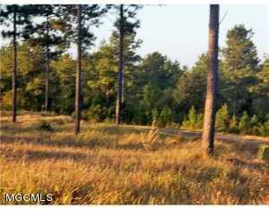 Tbv Tbv Hafner Road Lucedale, MS 39452 - Photo 3 of 3 20160727192743820488000000