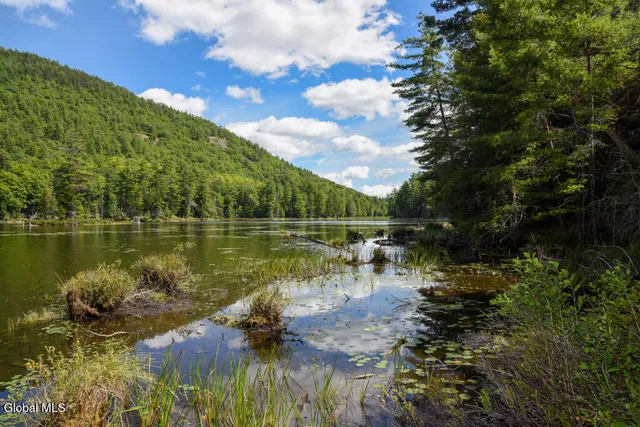 $99,900 | 49 The Woods, Johnsburg, NY 12853