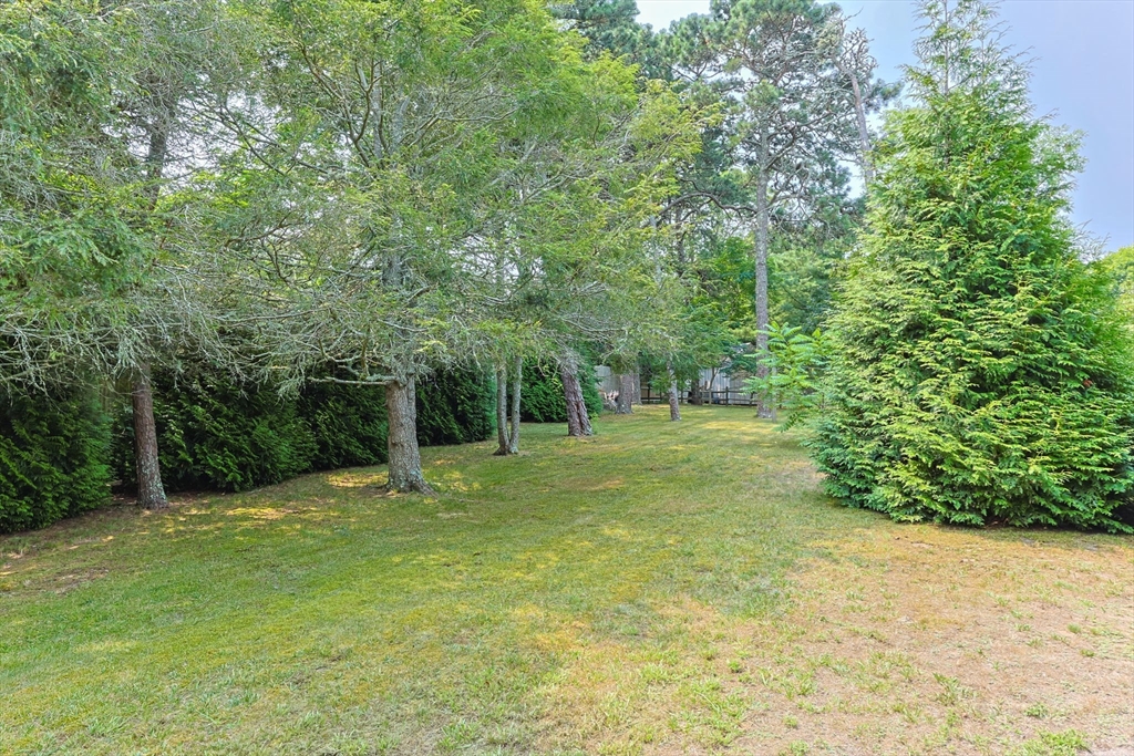 56 Riverview Drive Chatham, MA 02633 - Photo 32 of 37 a view of a trees with a yard
