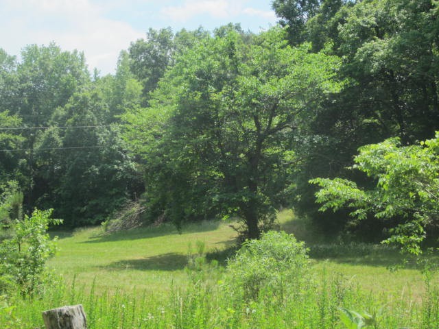 0 Hatcher Hollow Road McEwen, TN 37101 - Photo 1 of 9 Gallery Image 1