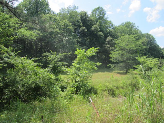 0 Hatcher Hollow Road McEwen, TN 37101 - Photo 2 of 9 Gallery Image 2