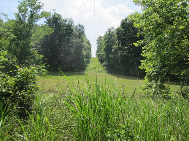 0 Hatcher Hollow Road McEwen, TN 37101 - Photo 3 of 9 Gallery Image 3
