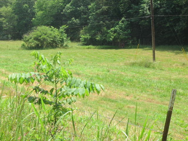 0 Hatcher Hollow Road McEwen, TN 37101 - Photo 4 of 9 Gallery Image 4
