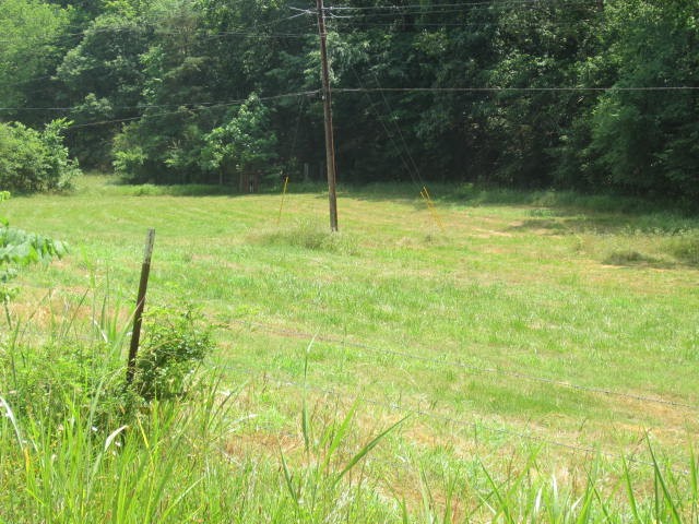 0 Hatcher Hollow Road McEwen, TN 37101 - Photo 7 of 9 Gallery Image 7