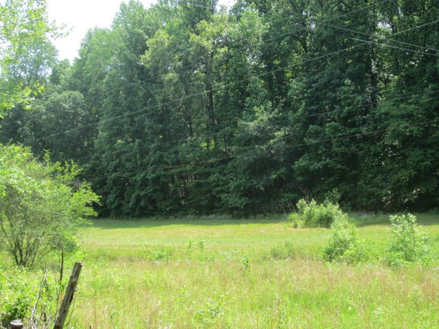 0 Hatcher Hollow Road McEwen, TN 37101 - Photo 8 of 9 Gallery Image 8
