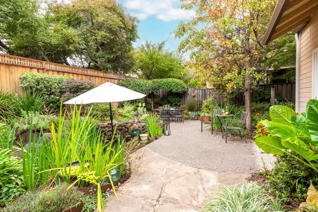 a view of a park with of trees