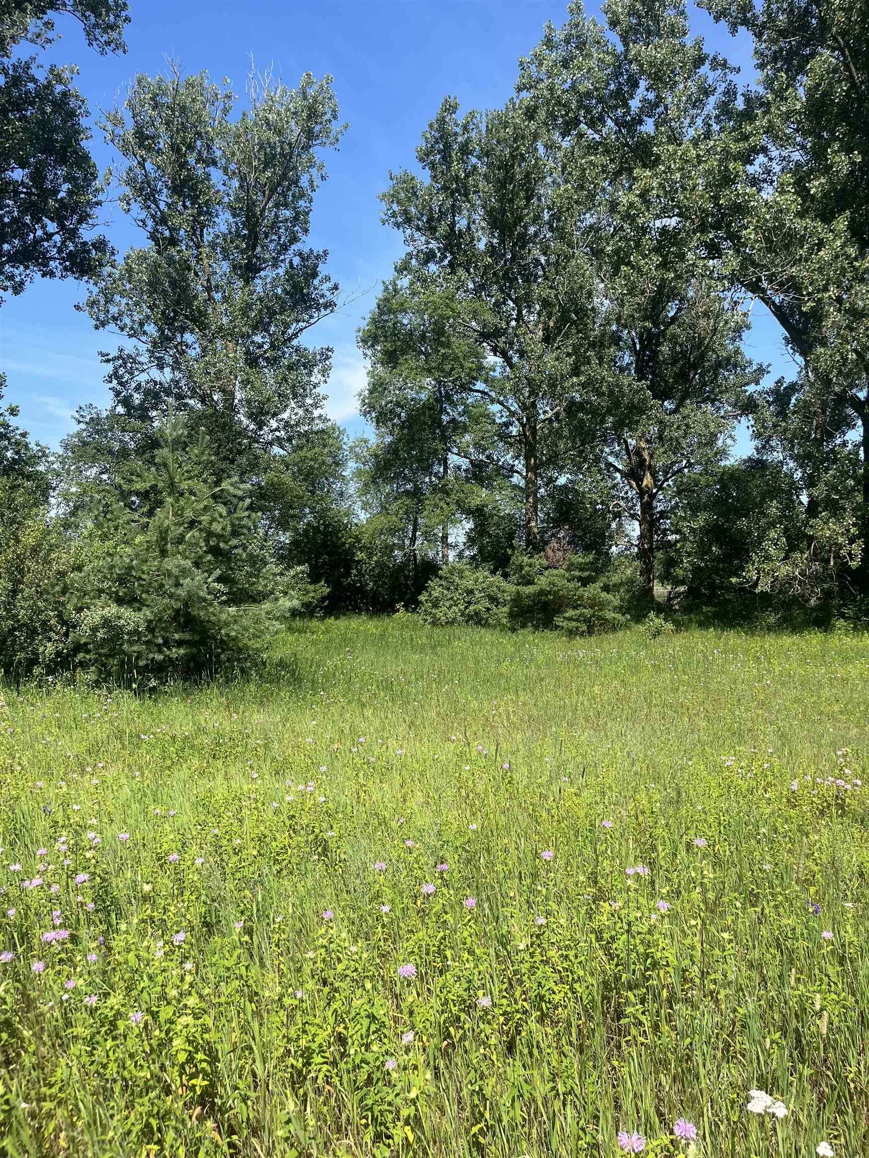 Packingham Road Manton, MI 49663 - Photo 19 of 25