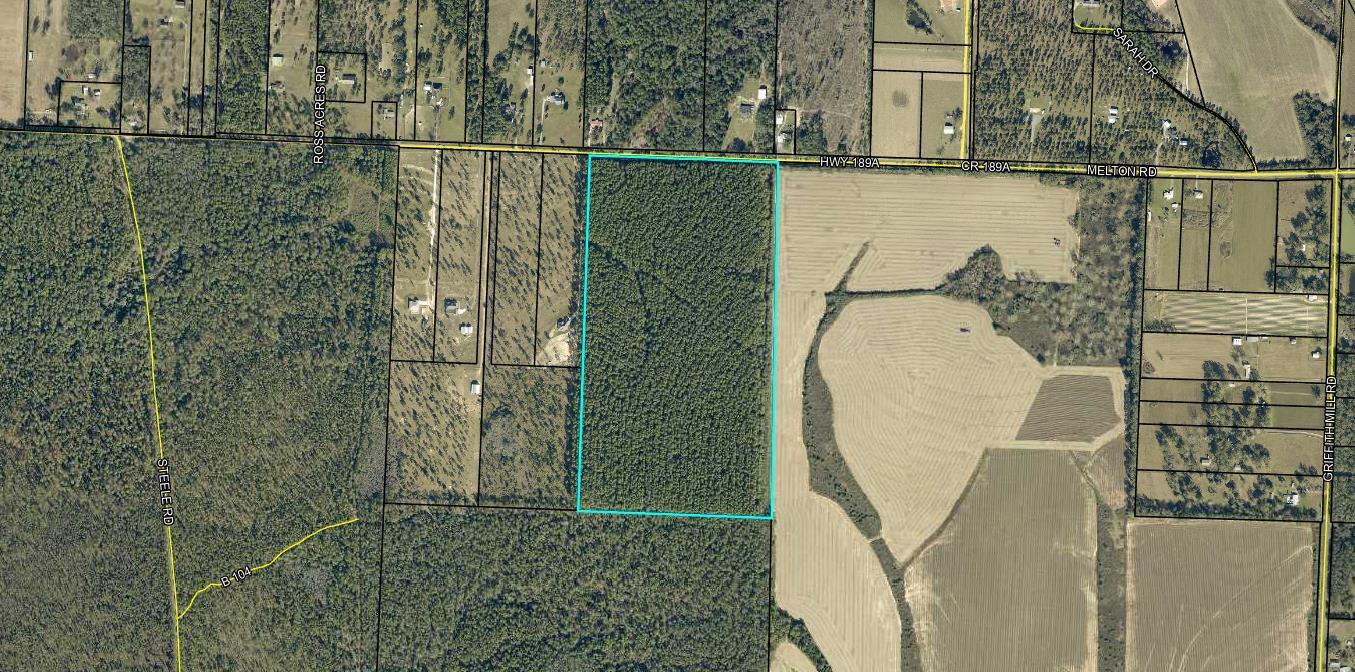 0 Melton Road Baker, FL 32531 - Photo 5 of 7 Aerial View