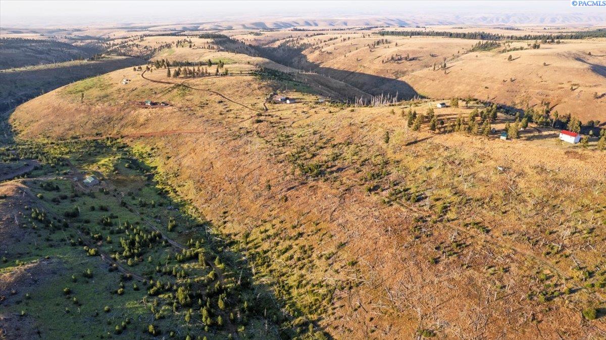 Lot1-tbd Lot1-tbd Stevens Ridge Pomeroy, WA 99347 - Photo 14 of 47 Gallery Image 14