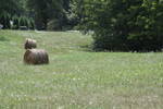 0 Shady Run Road Vinton, VA 24179 - Photo 2 of 2 Bring contract