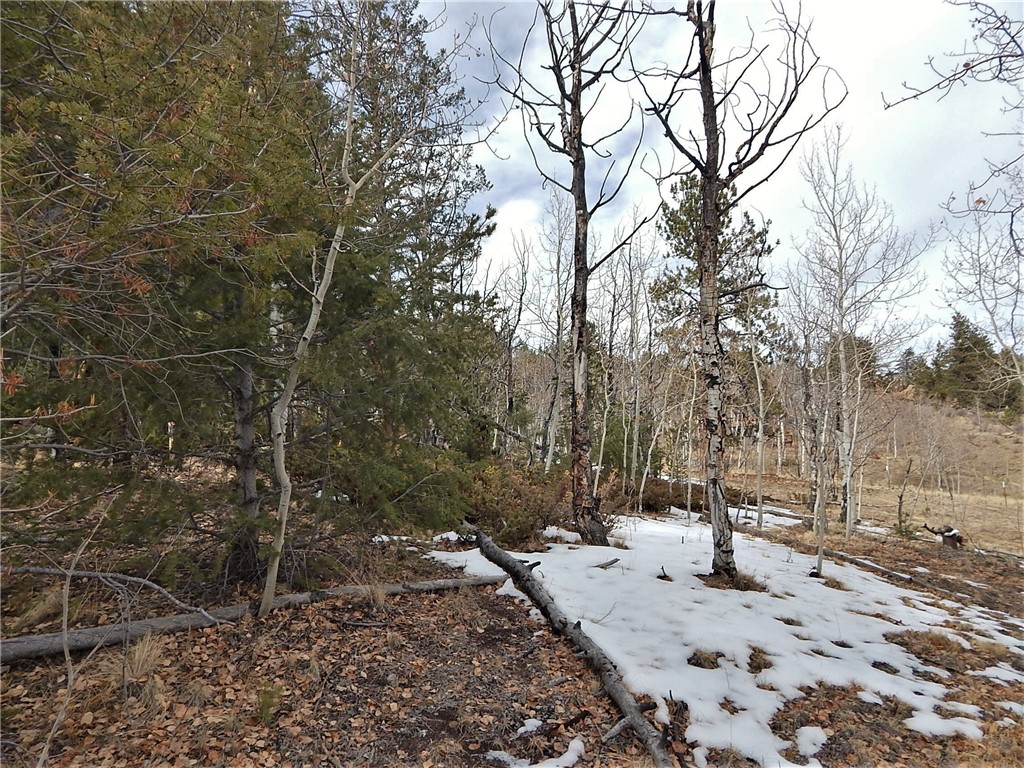 4357 Atila Road Hartsel, CO 80449 - Photo 27 of 35 Gallery Image 27