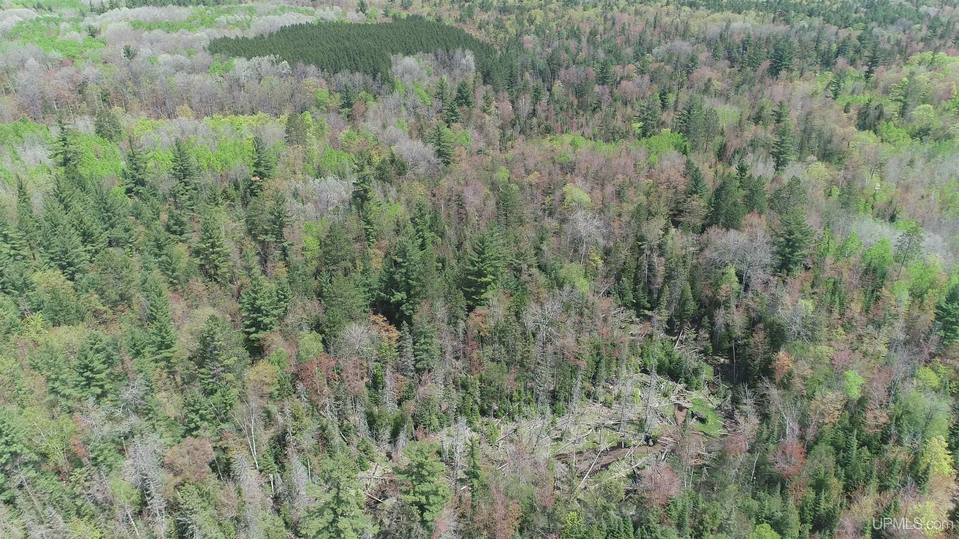 38-acres County Rd NA Road Marquette, MI 49855 - Photo 66 of 70
