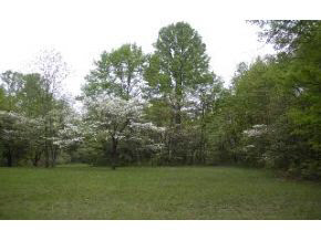 0 West Duvall Road Bloomington, IN 47403 - Photo 1 of 2 Gallery Image 1