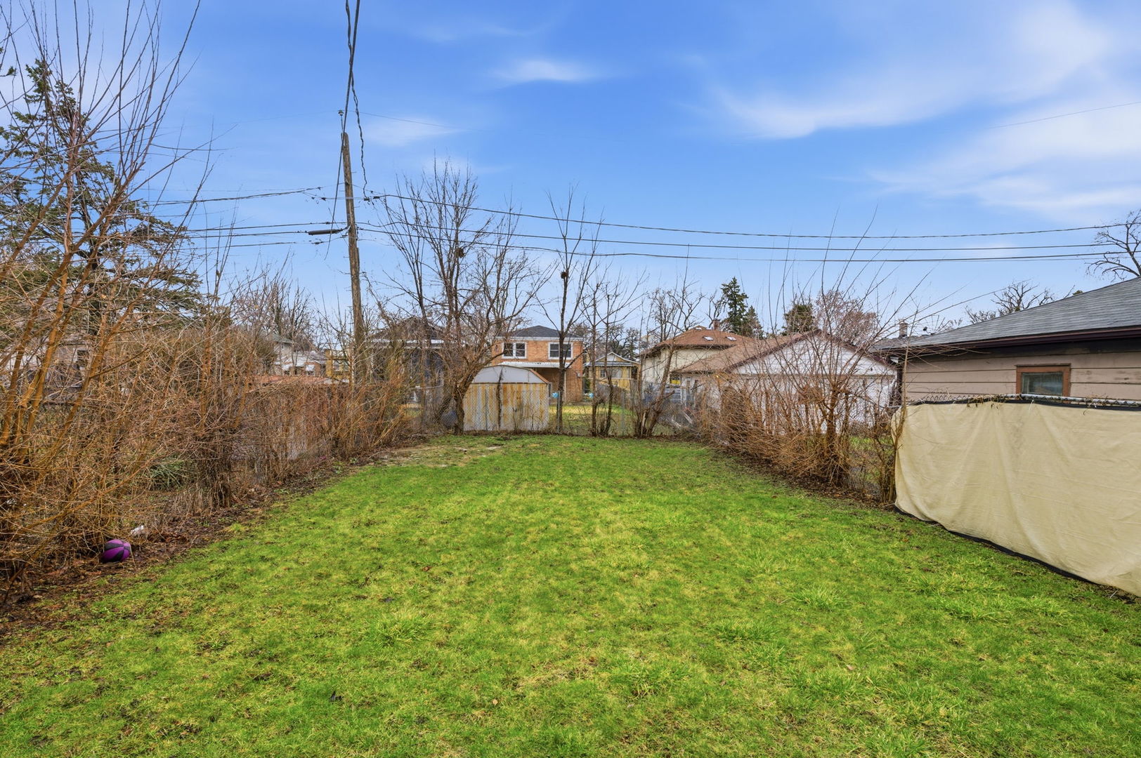 1036 West 105th Street Chicago, IL 60643 - Photo 26 of 30 a view of a backyard