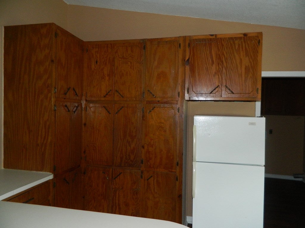 51 Knowles Road Ray City, GA 31645 - Photo 4 of 14 Gallery Image 4