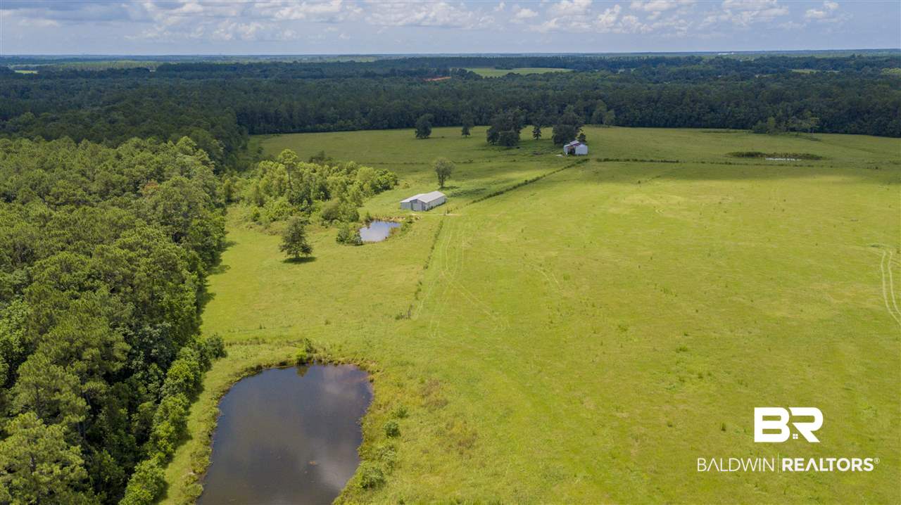 22290 Oak Tree Lane Robertsdale, AL 36567 - Photo 10 of 37