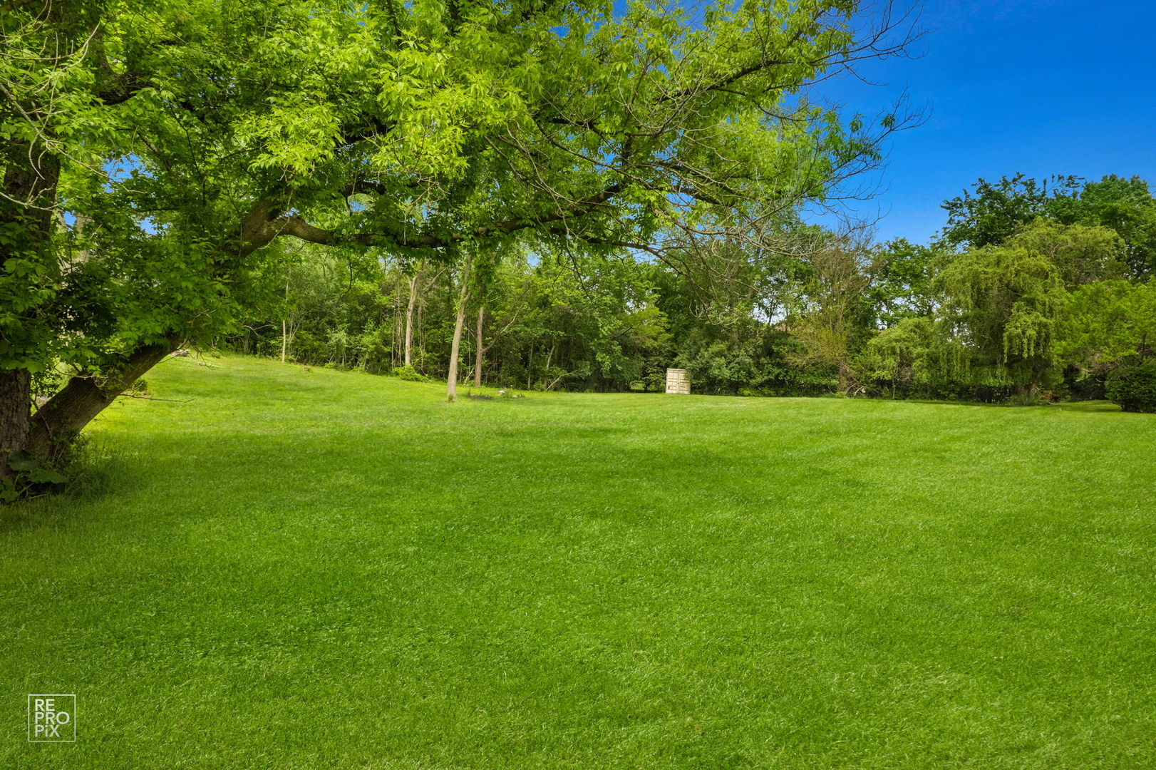 10S641 South Garfield Street Burr Ridge, IL 60527 - Photo 9 of 15 a grassy field with trees in the background