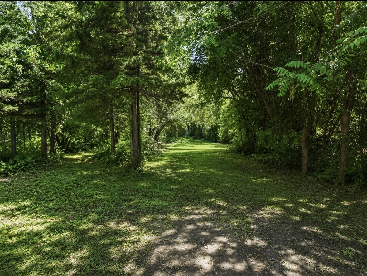 309 Landmeier Road Elk Grove Village, IL 60007 - Photo 9 of 15 a view of a trees with a yard